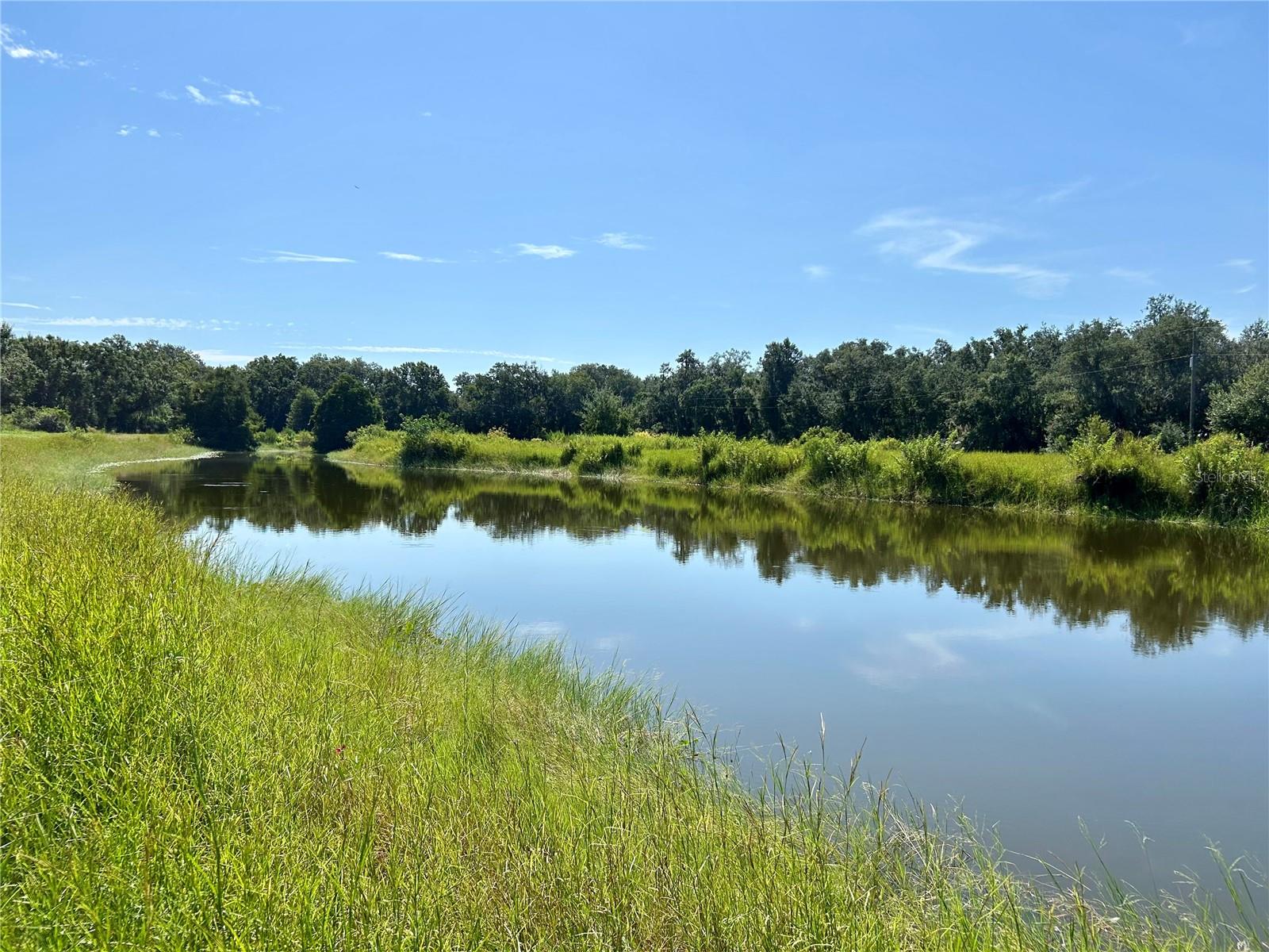Image 22 of 58 For 1793 State Road 64 E