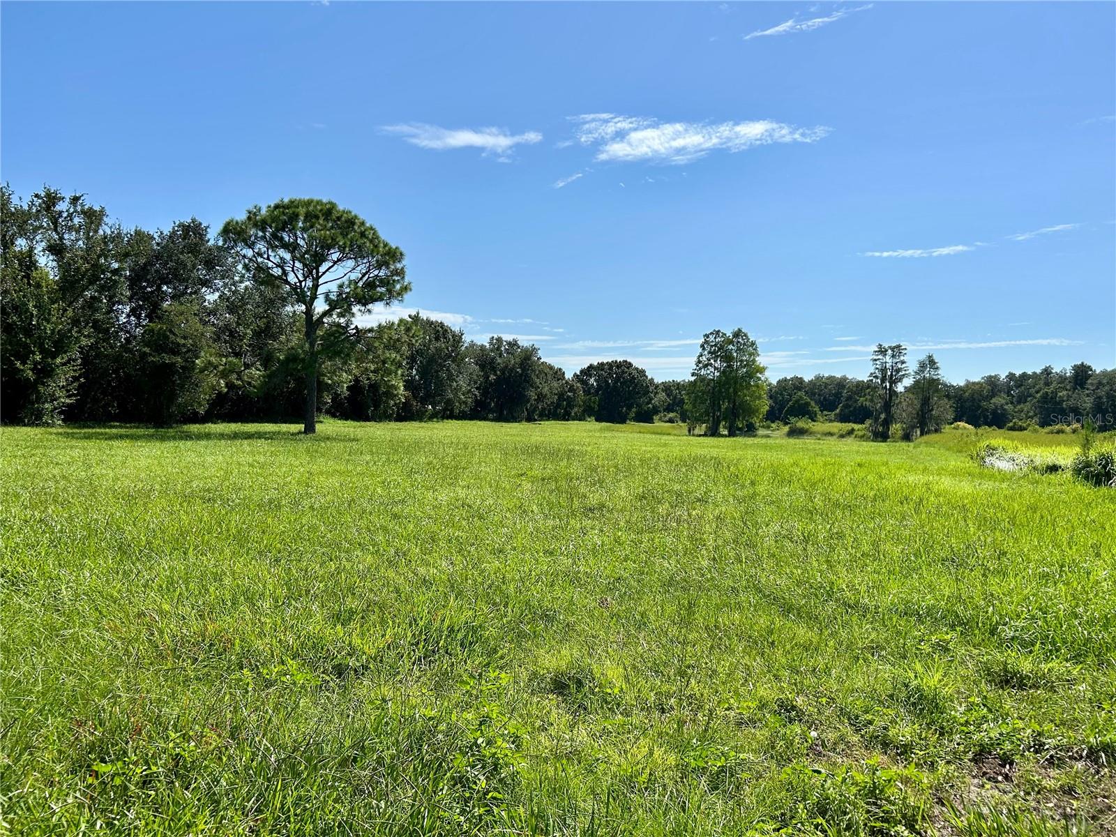 Image 24 of 58 For 1793 State Road 64 E