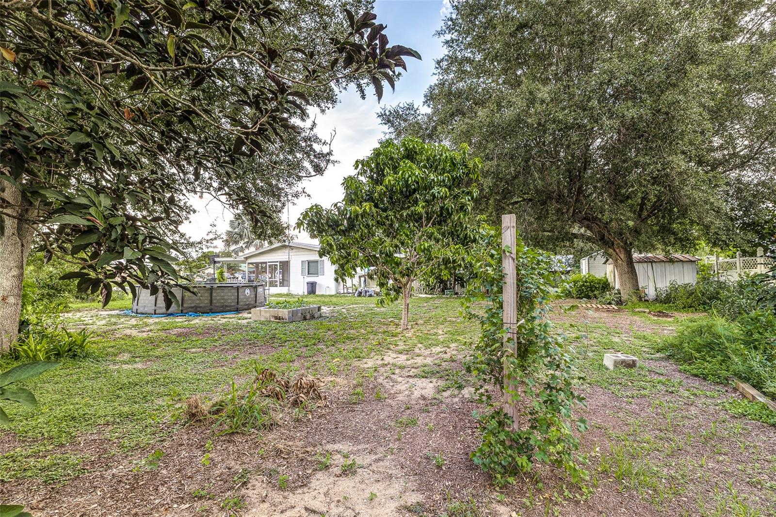 Image 31 of 32 For 2655 Avocado Road