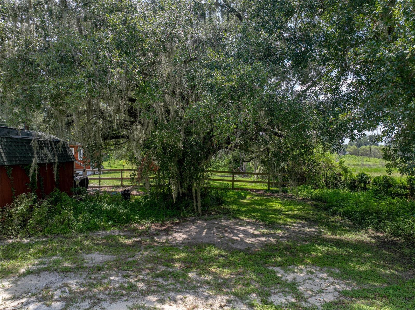 Image 63 of 72 For 2902 Knights Griffin Road