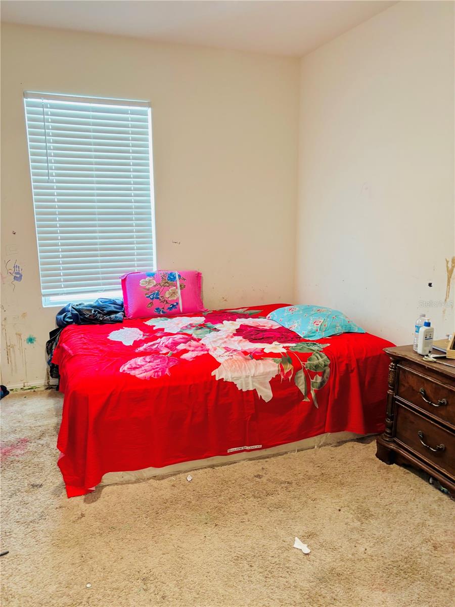 Image 12 of 16 For 352 Alexzander Way