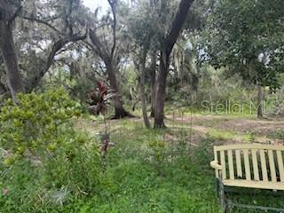 Image 45 of 48 For 4704 Bear Claw Court