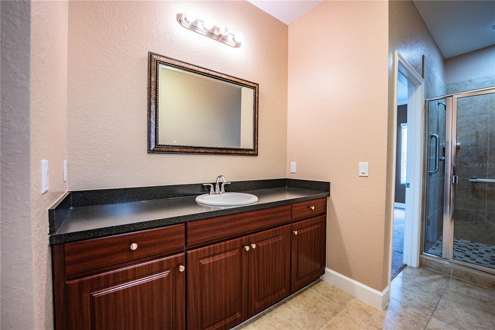 Image 41 of 66 For 253 Alexander Woods Drive