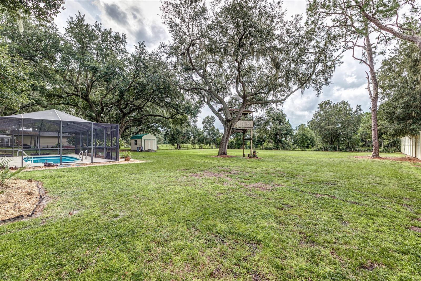 Image 6 of 40 For 5004 Musket Drive