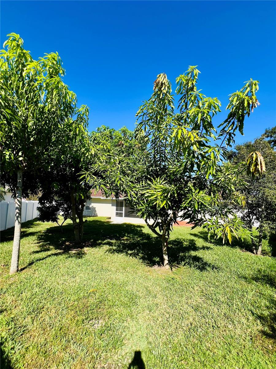 Image 42 of 44 For 5857 Manchester Drive W