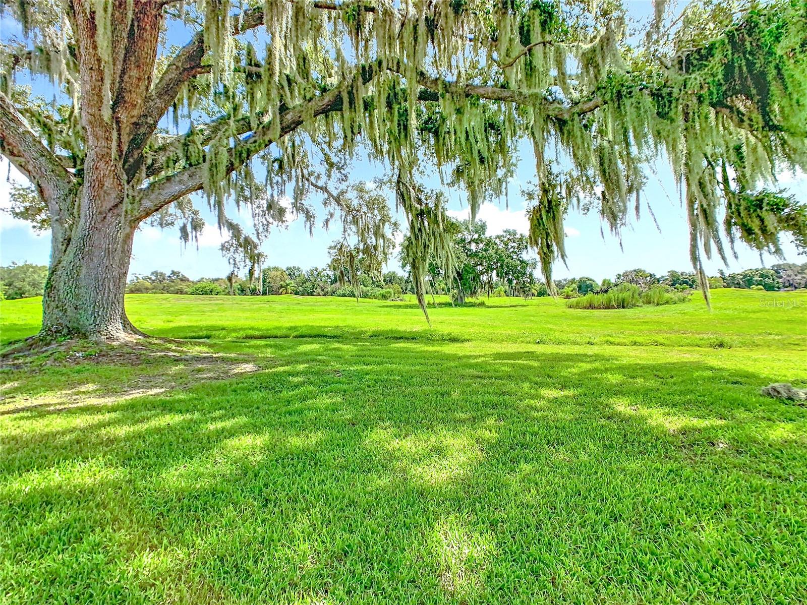 Image 19 of 22 For 5225 Imperial Lakes Boulevard 41