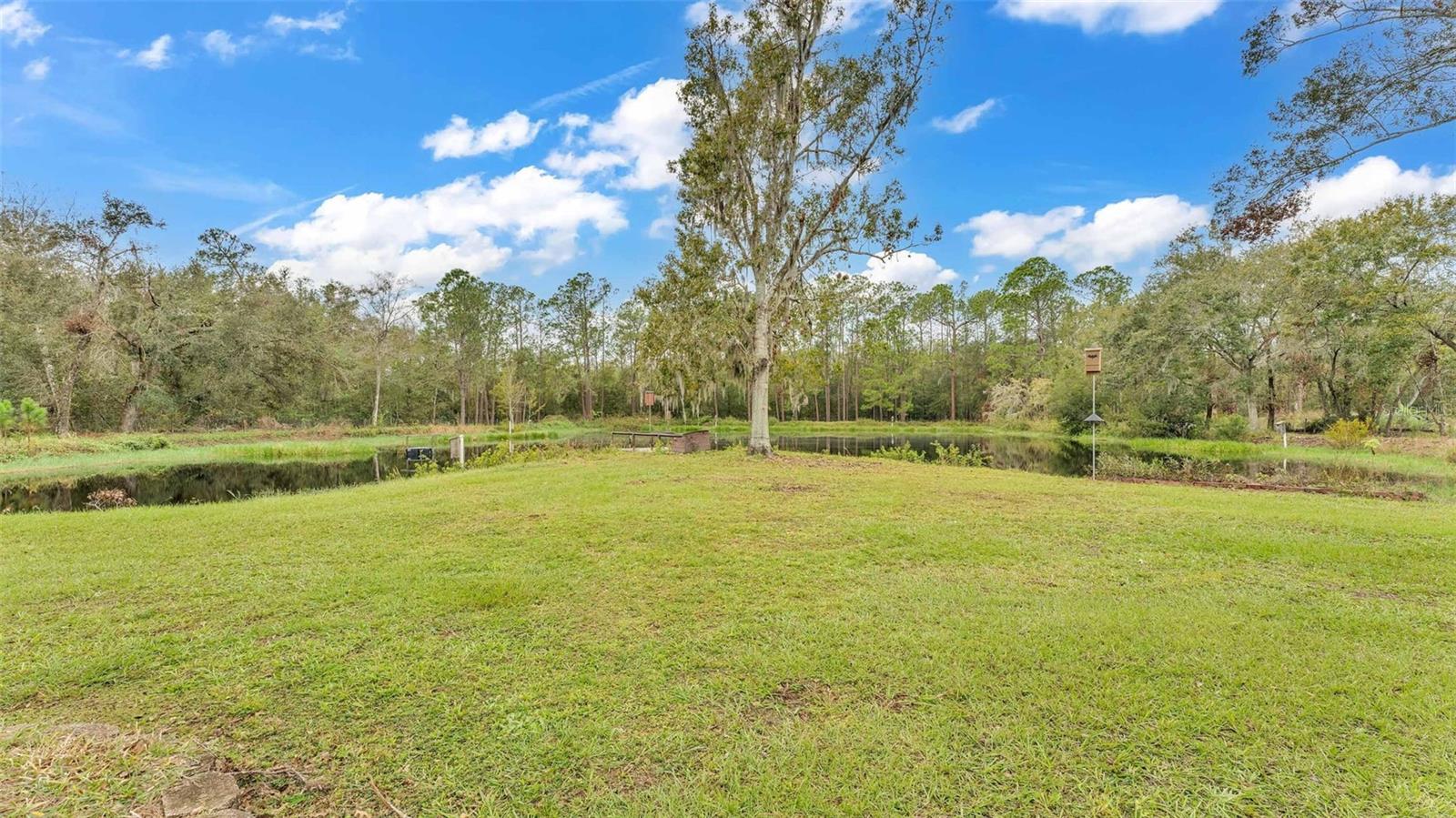 Image 50 of 61 For 9240 Moore Road