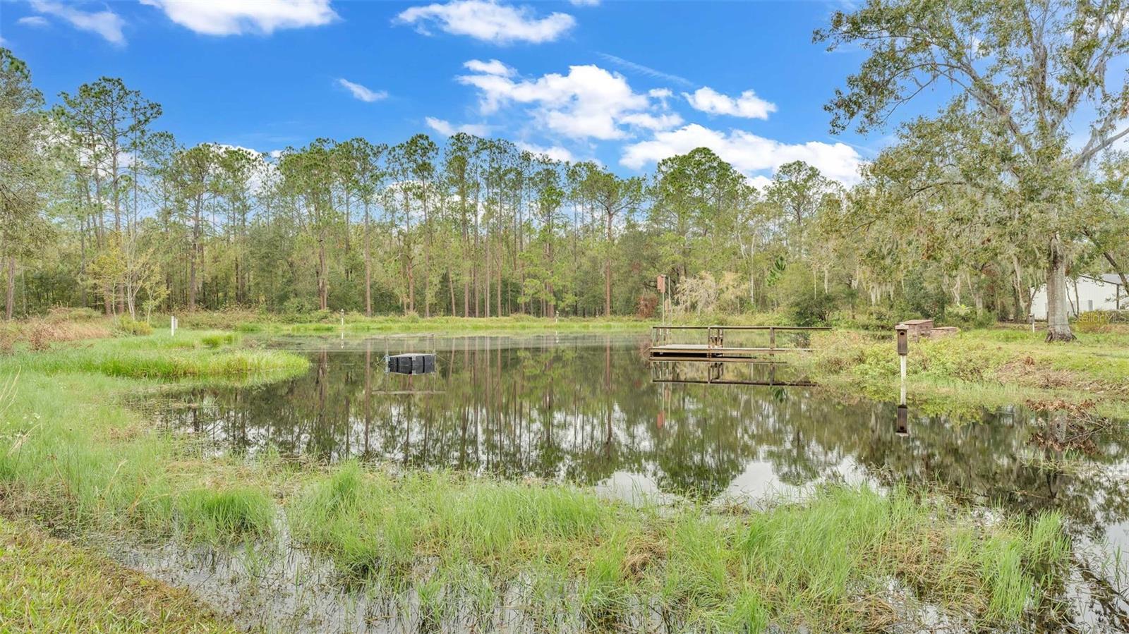 Image 52 of 61 For 9240 Moore Road