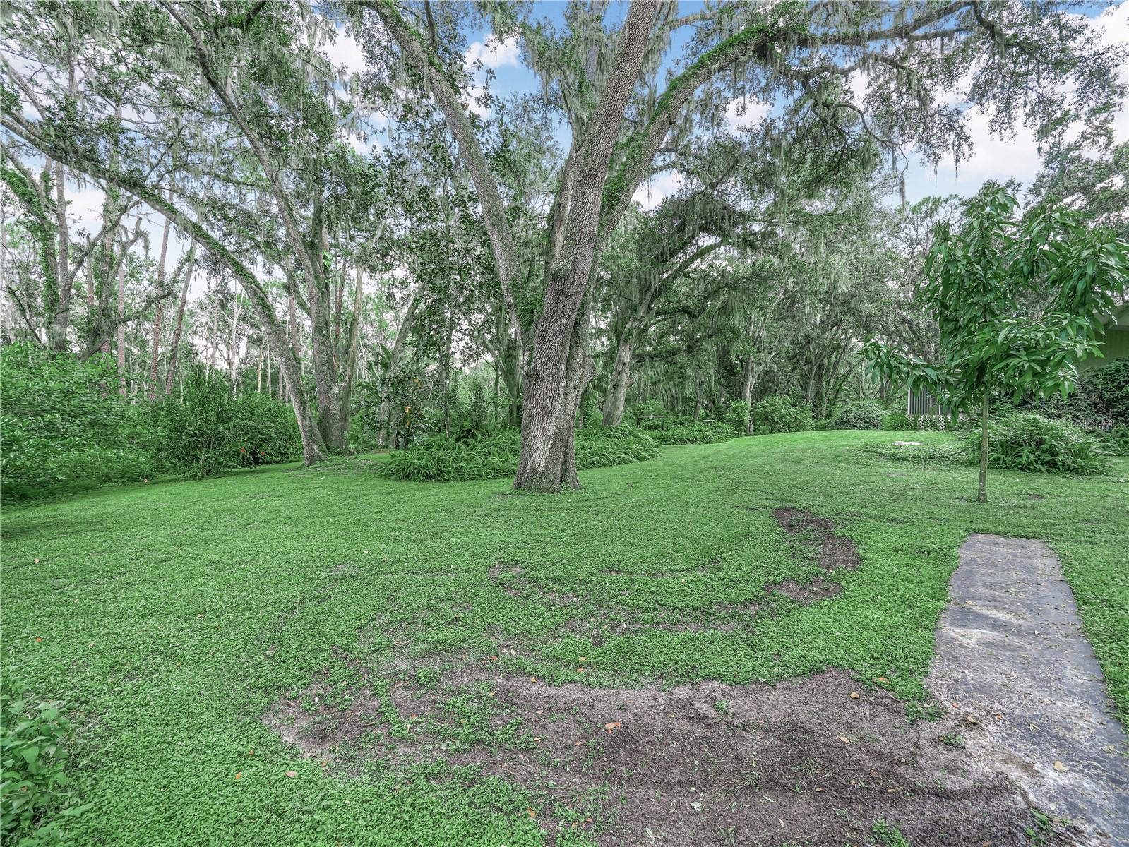 Image 16 of 26 For 7410 Dormany Loop