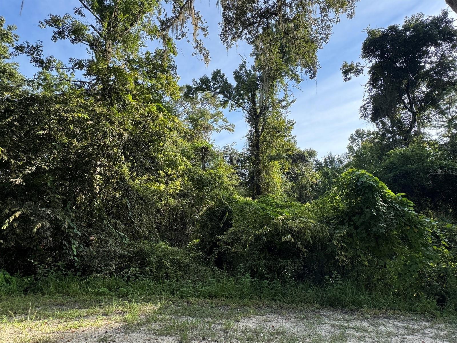 Details for  Barth Road , DADE CITY, FL 33523