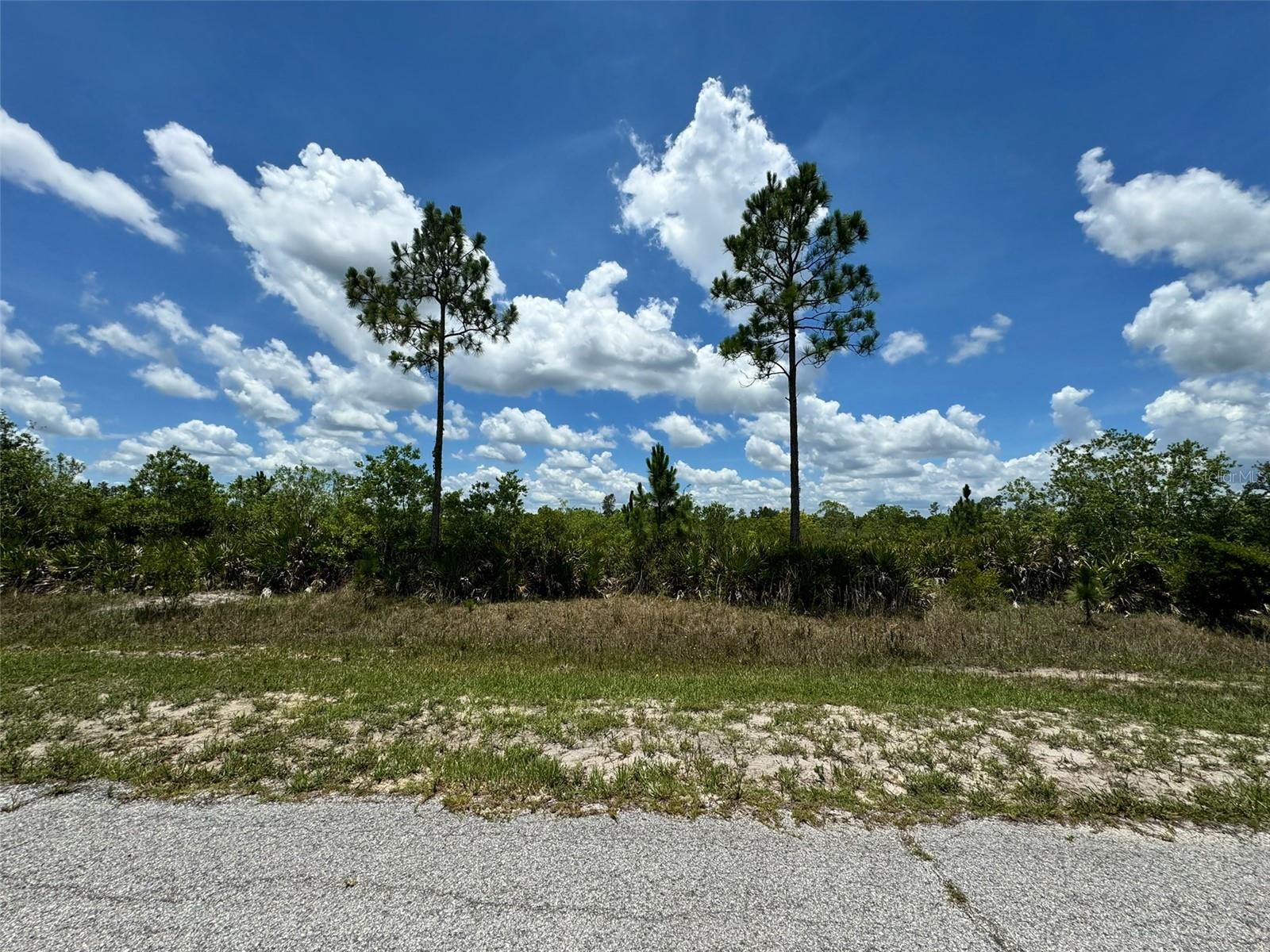 Image 4 of 9 For Lot #2 Meadowlark Boulevard