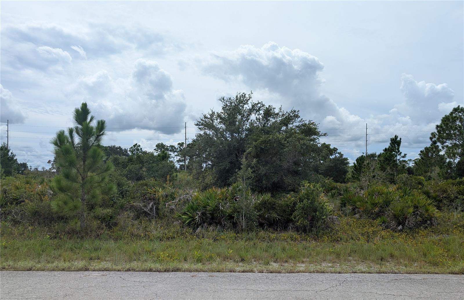 Details for 3430 Gerber Avenue, LAKE PLACID, FL 33852