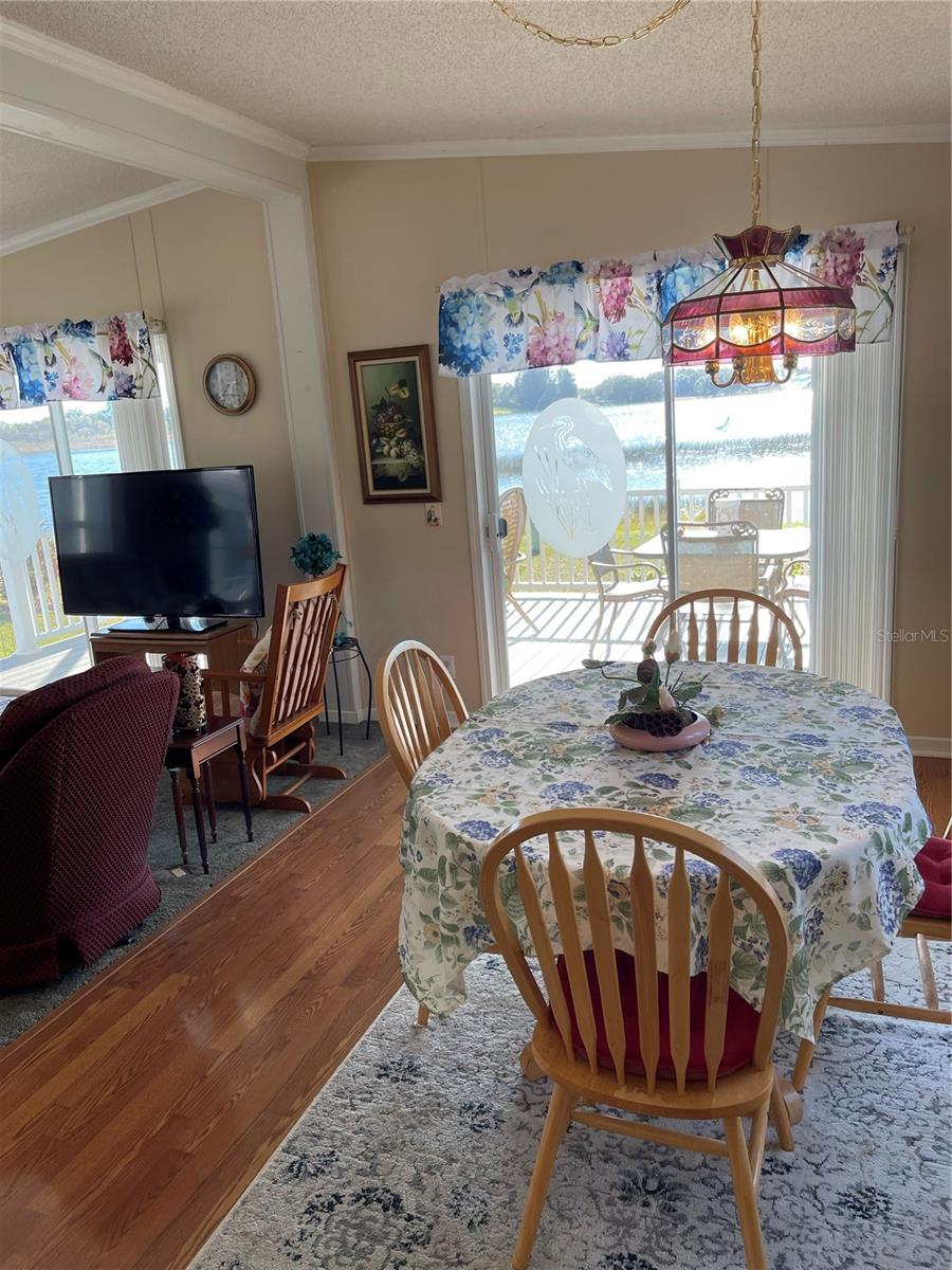Image 8 of 42 For 21 Queen Of Waters Street