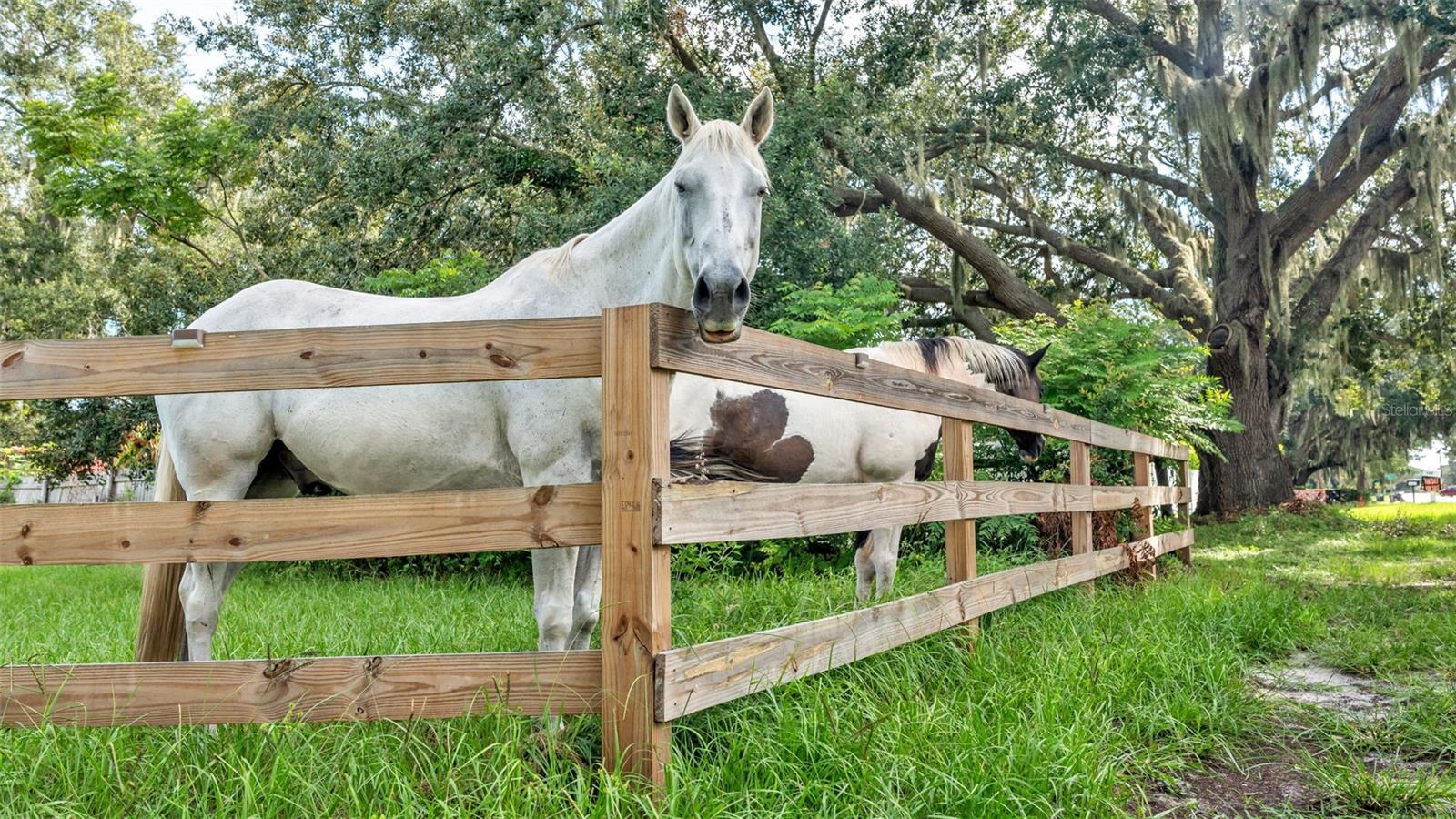 Image 10 of 41 For 1305 Cherry Lane