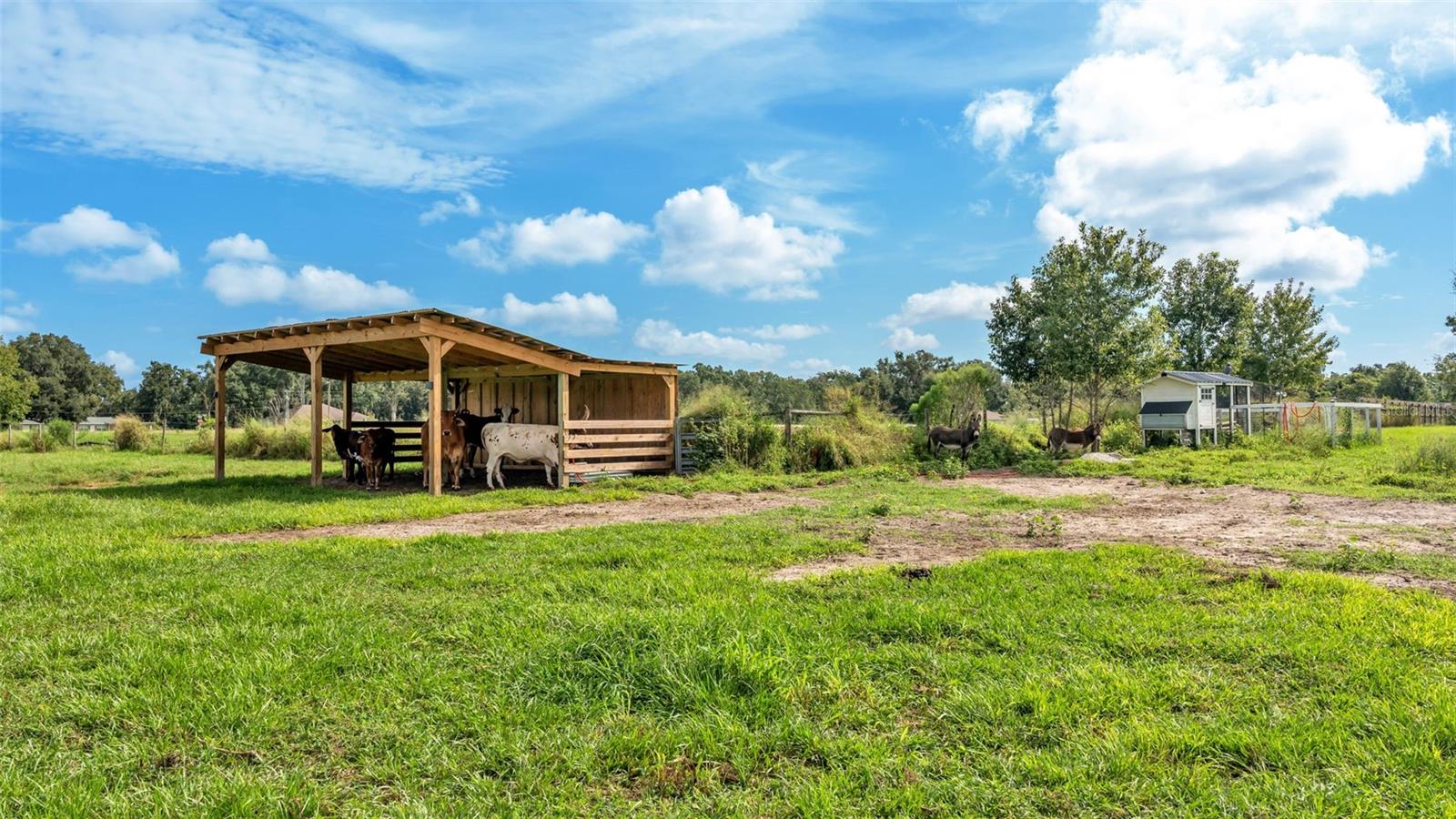 Image 11 of 41 For 1305 Cherry Lane