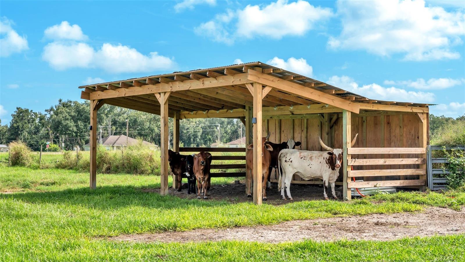 Image 12 of 41 For 1305 Cherry Lane