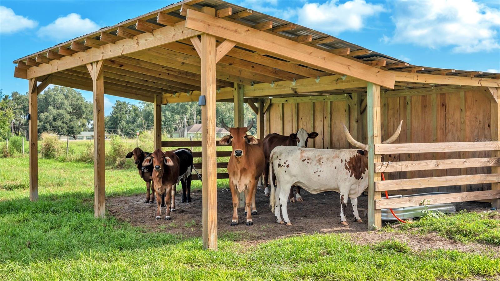 Image 13 of 41 For 1305 Cherry Lane