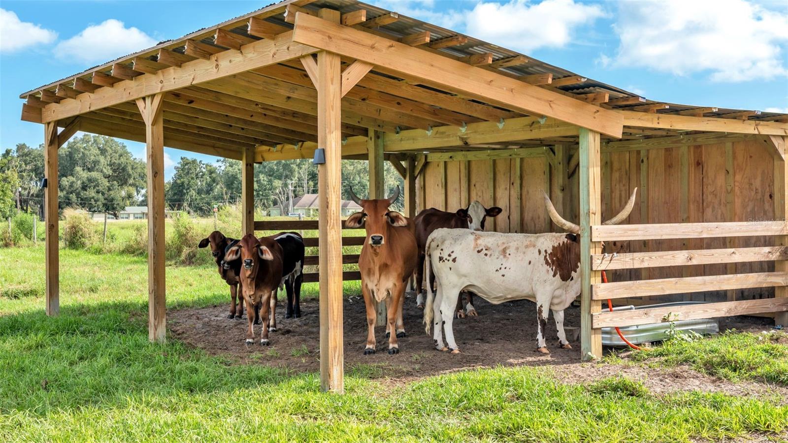 Image 14 of 41 For 1305 Cherry Lane