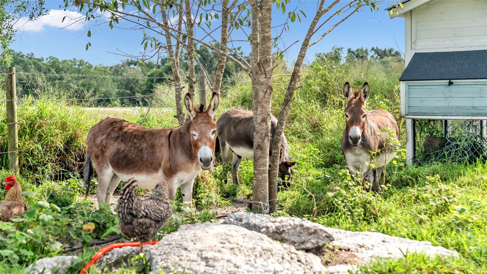 Image 15 of 41 For 1305 Cherry Lane