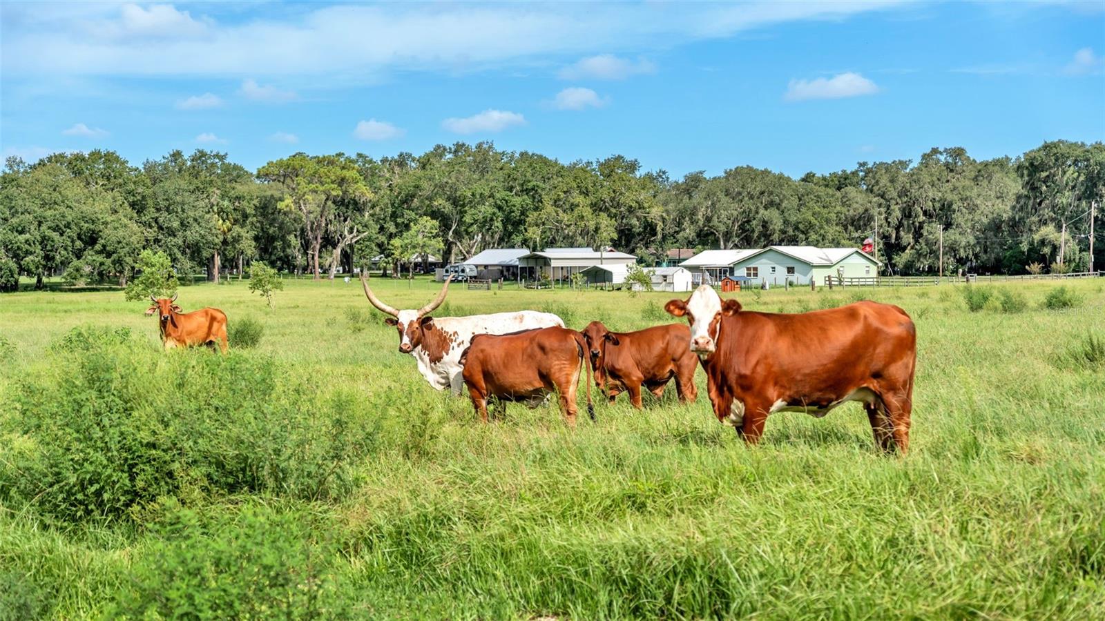 Image 22 of 41 For 1305 Cherry Lane