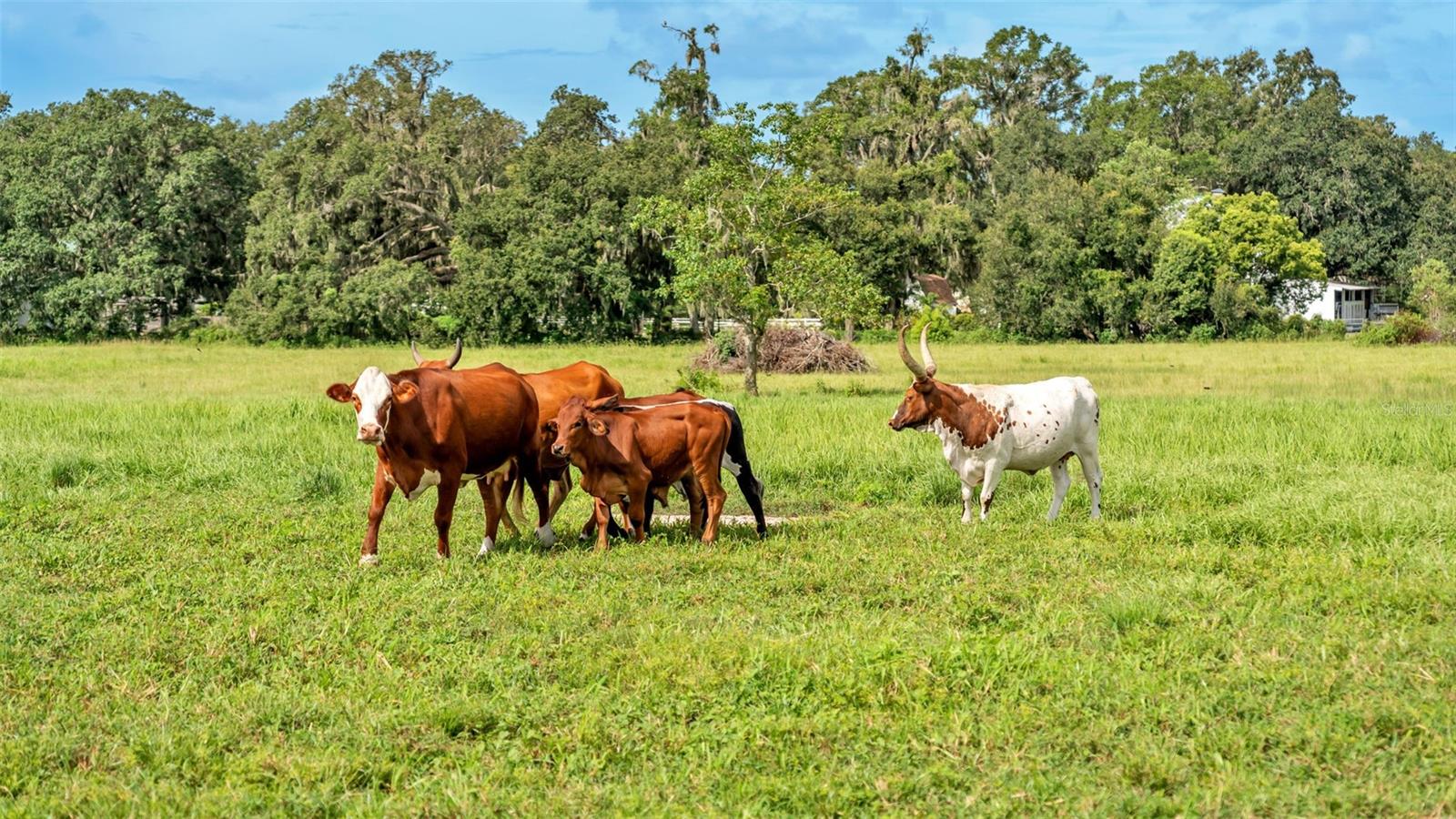 Image 24 of 41 For 1305 Cherry Lane