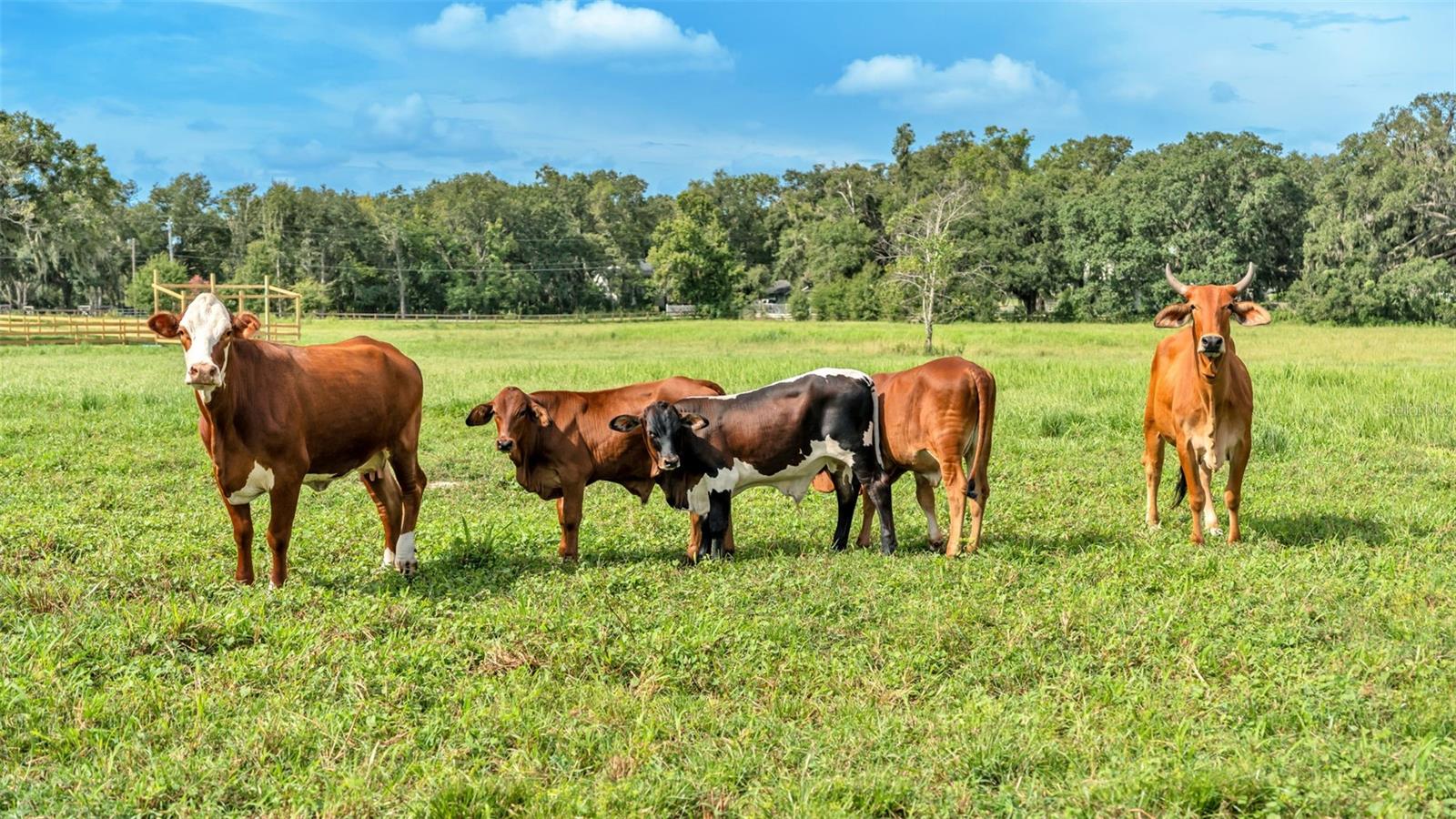 Image 26 of 41 For 1305 Cherry Lane