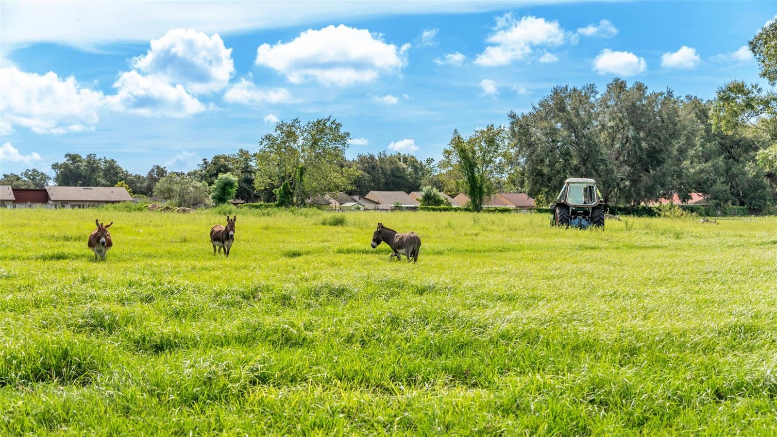 Image 29 of 41 For 1305 Cherry Lane