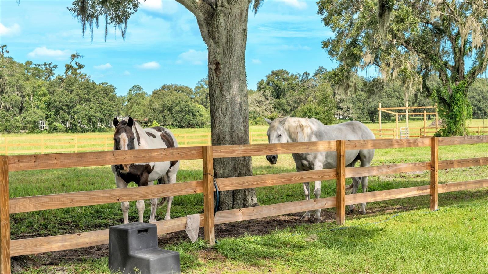 Image 30 of 41 For 1305 Cherry Lane