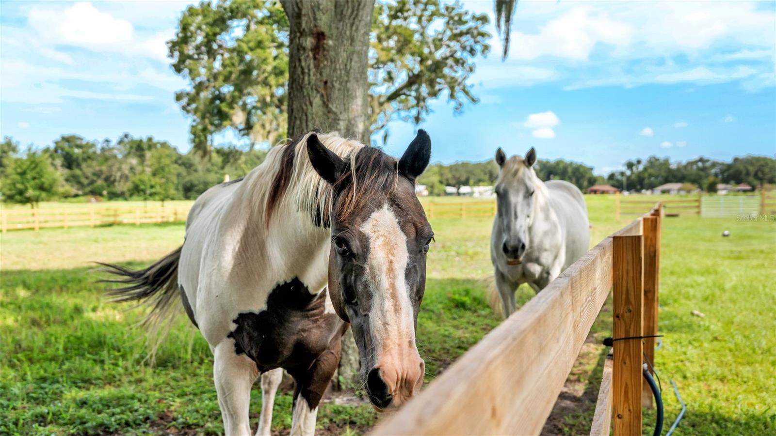 Image 31 of 41 For 1305 Cherry Lane