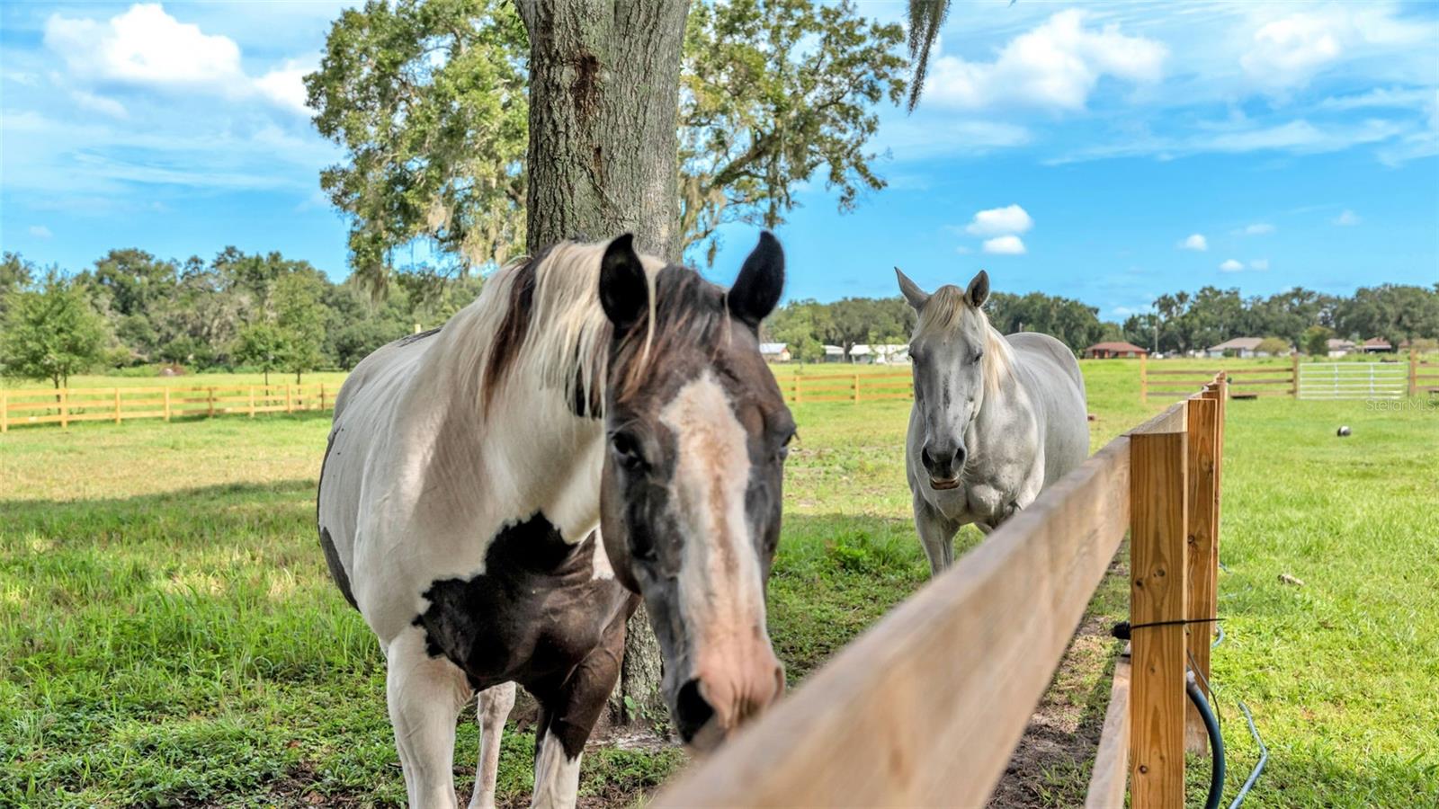 Image 32 of 41 For 1305 Cherry Lane