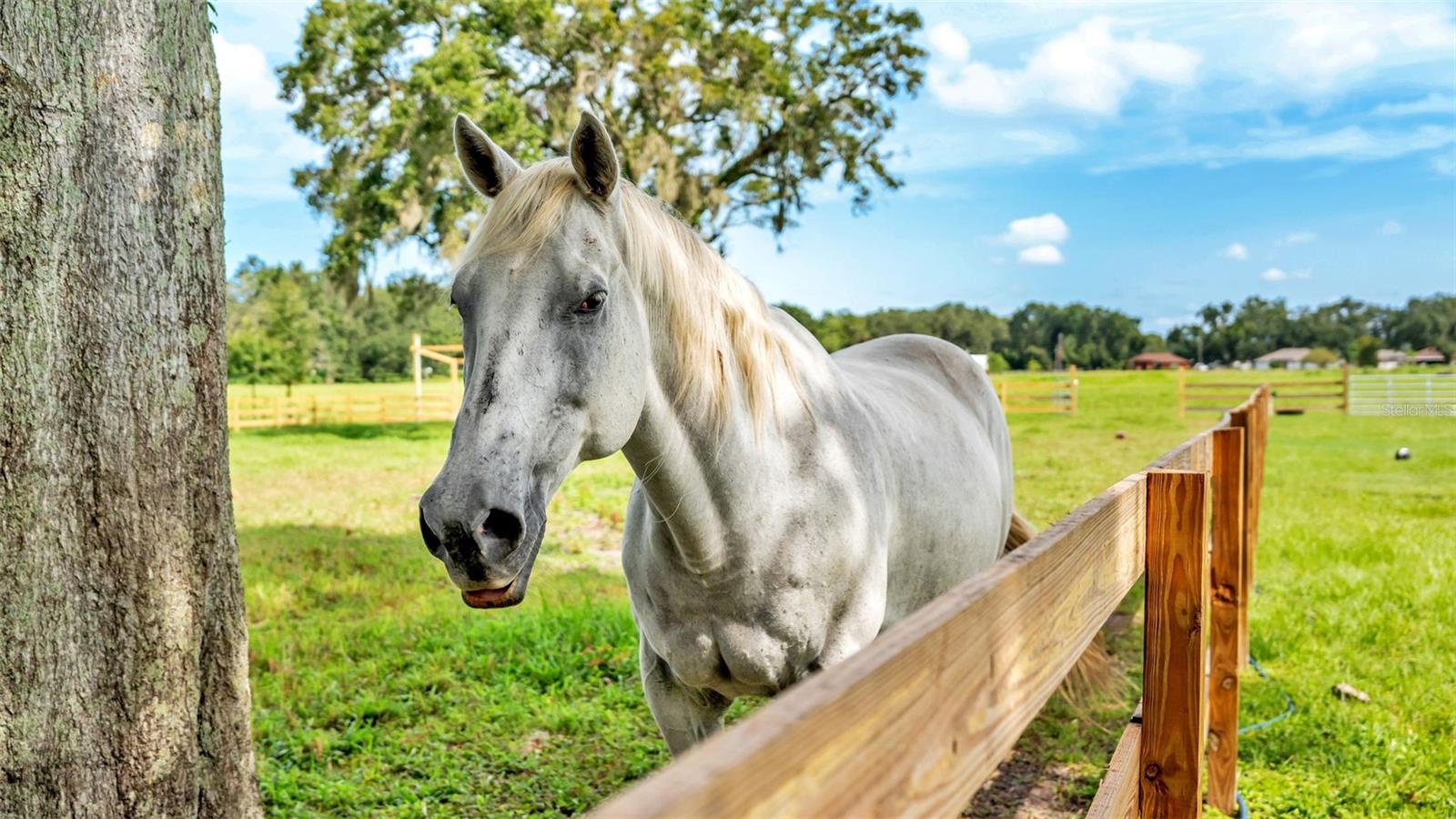 Image 33 of 41 For 1305 Cherry Lane