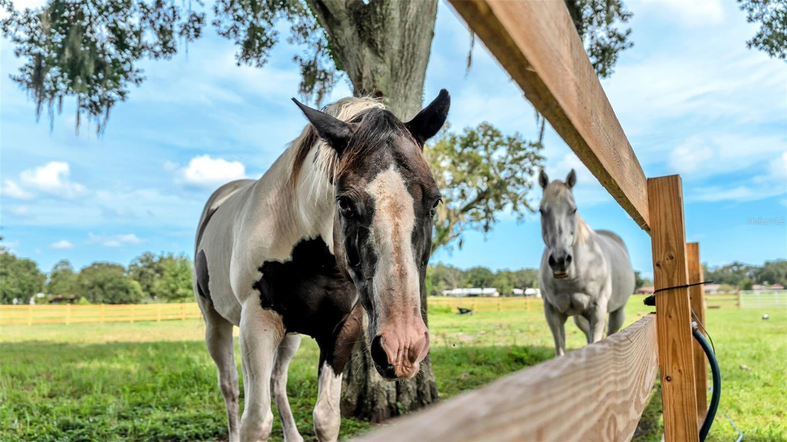 Image 34 of 41 For 1305 Cherry Lane