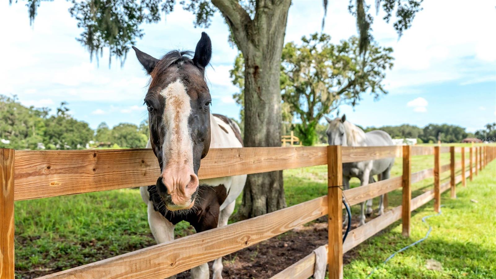 Image 35 of 41 For 1305 Cherry Lane