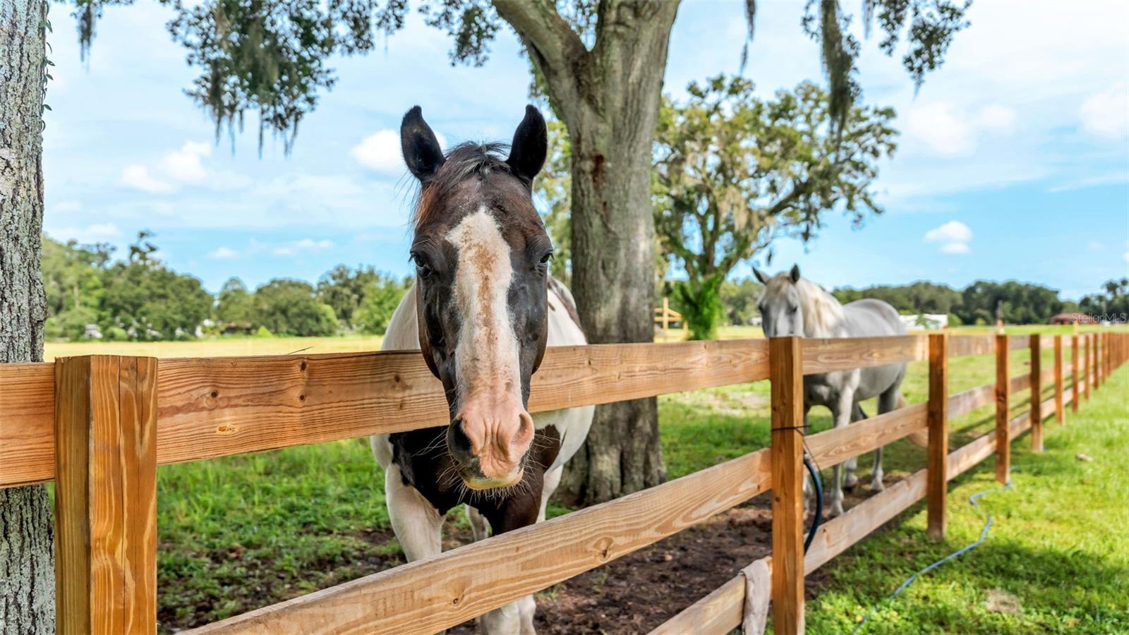 Image 36 of 41 For 1305 Cherry Lane