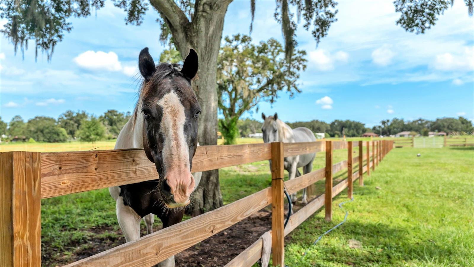 Image 37 of 41 For 1305 Cherry Lane