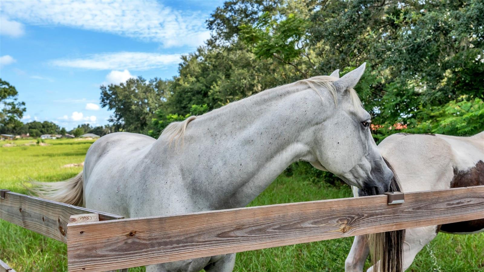 Image 6 of 41 For 1305 Cherry Lane