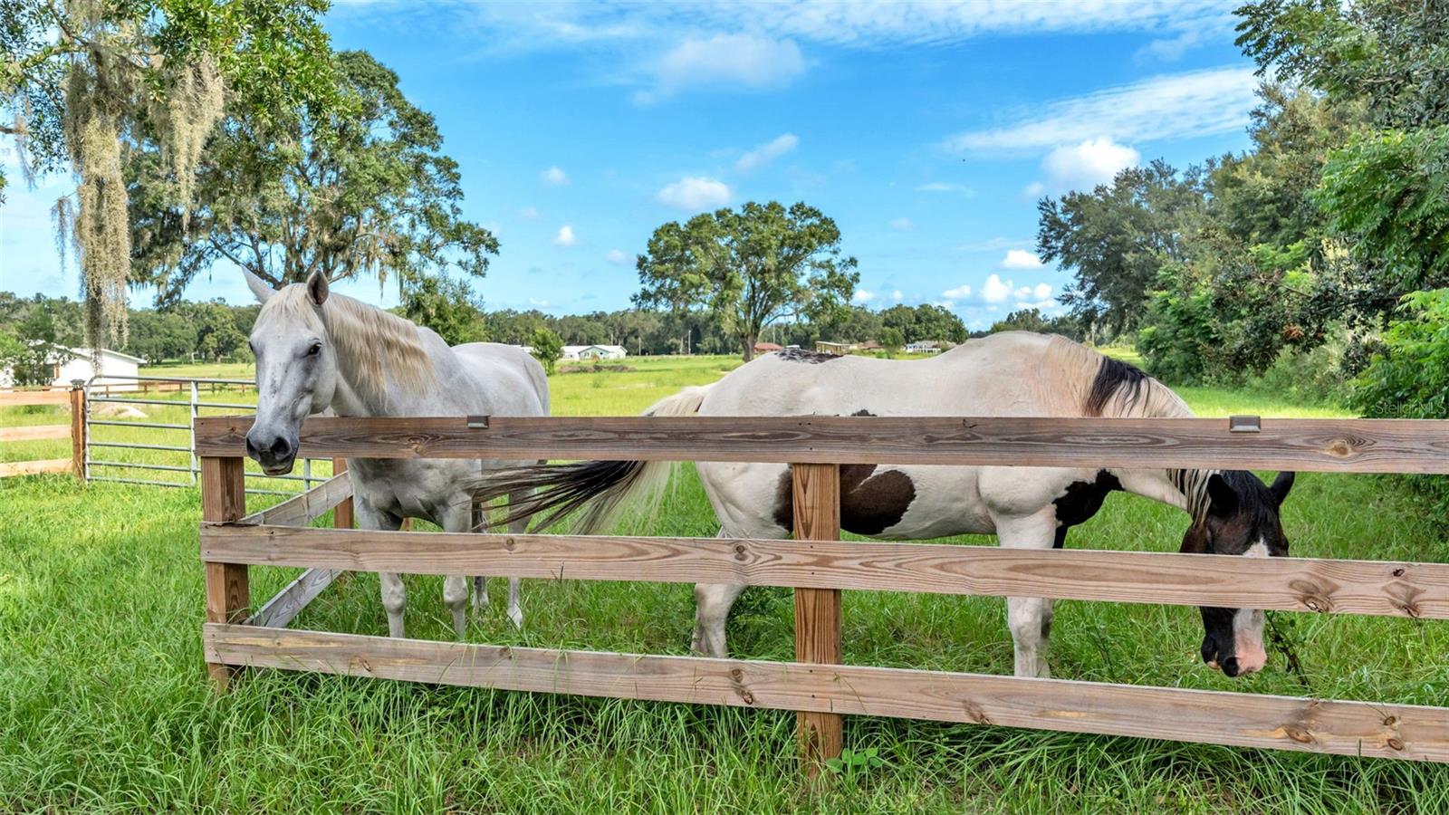 Image 7 of 41 For 1305 Cherry Lane