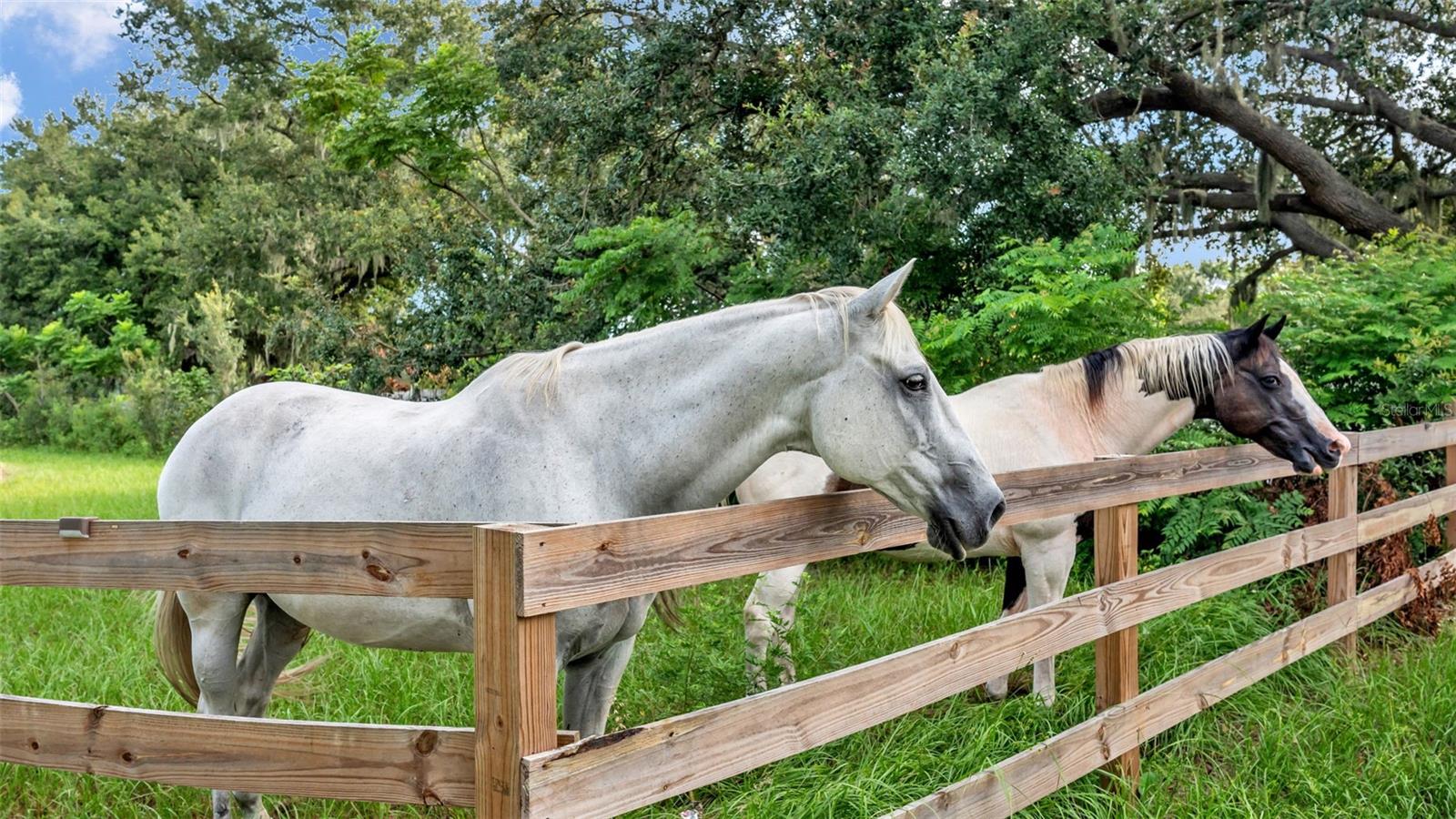 Image 8 of 41 For 1305 Cherry Lane