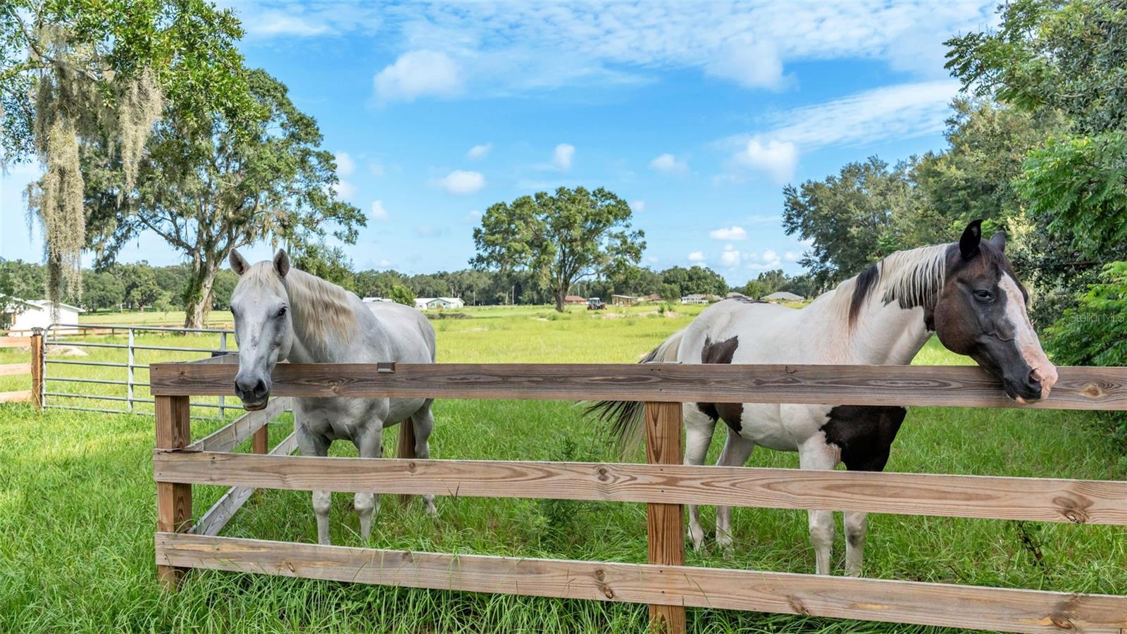 Image 9 of 41 For 1305 Cherry Lane