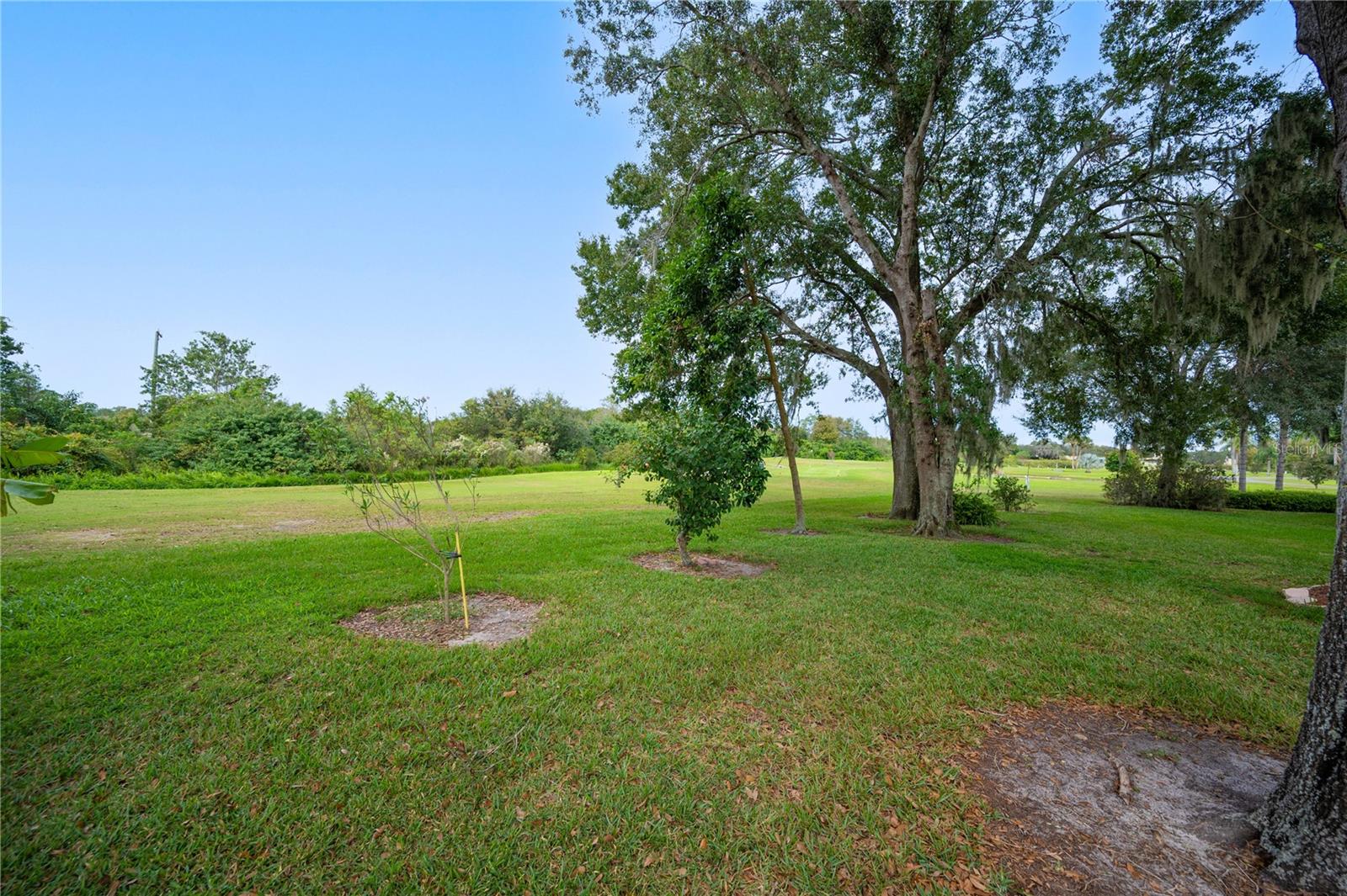 Image 31 of 41 For 202 Golf Aire Boulevard