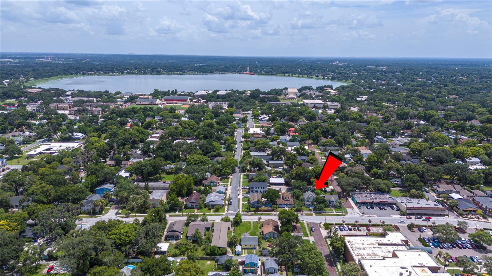 Image 50 of 53 For 823 Palmetto Street
