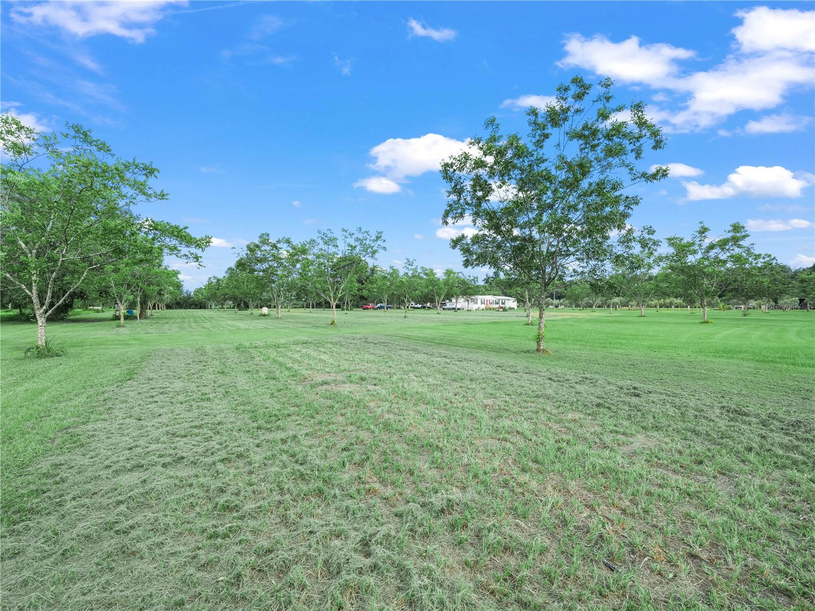 Image 8 of 9 For 8564 Carey Road