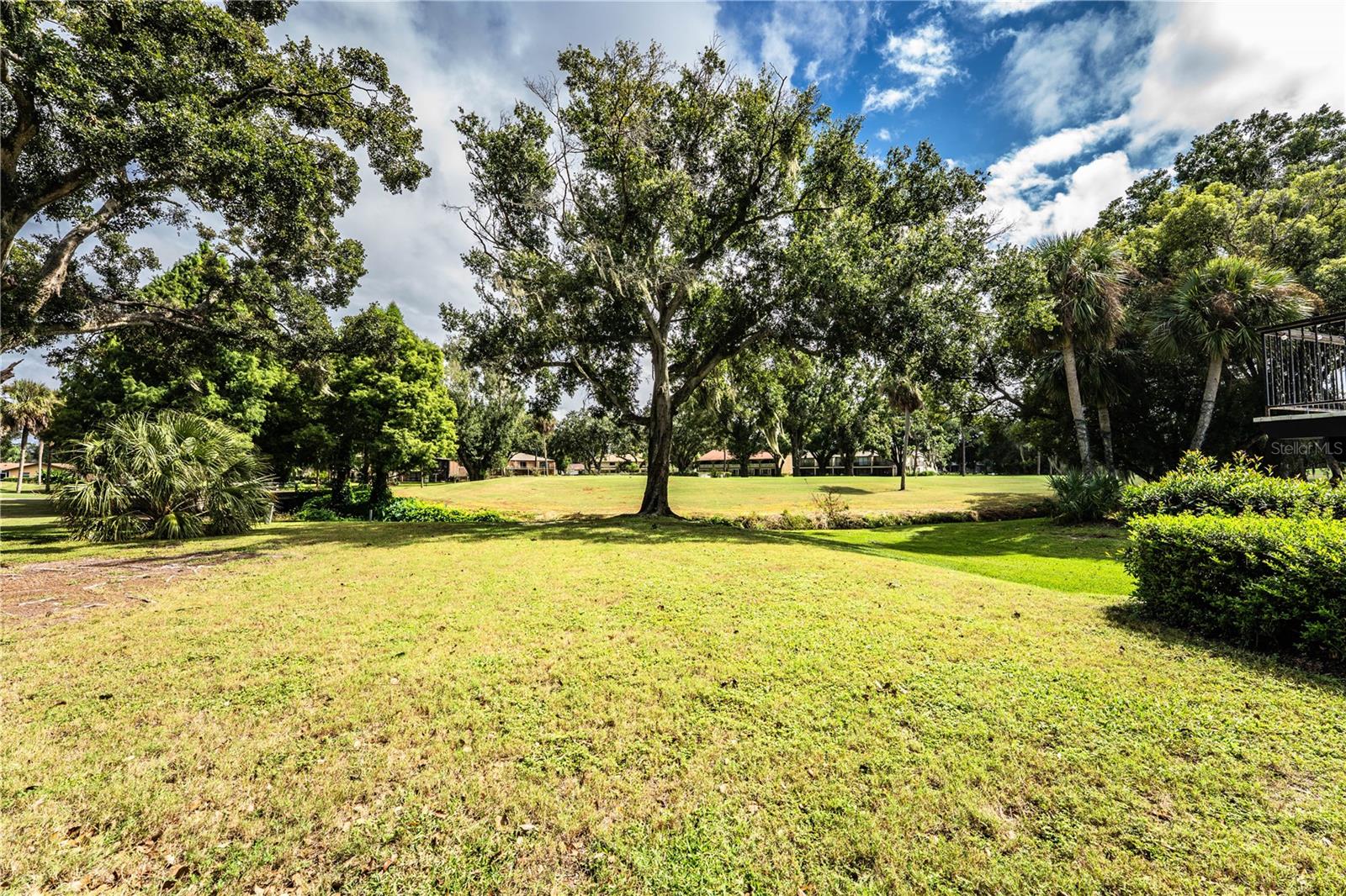 Image 19 of 78 For 421 Lone Palm Drive