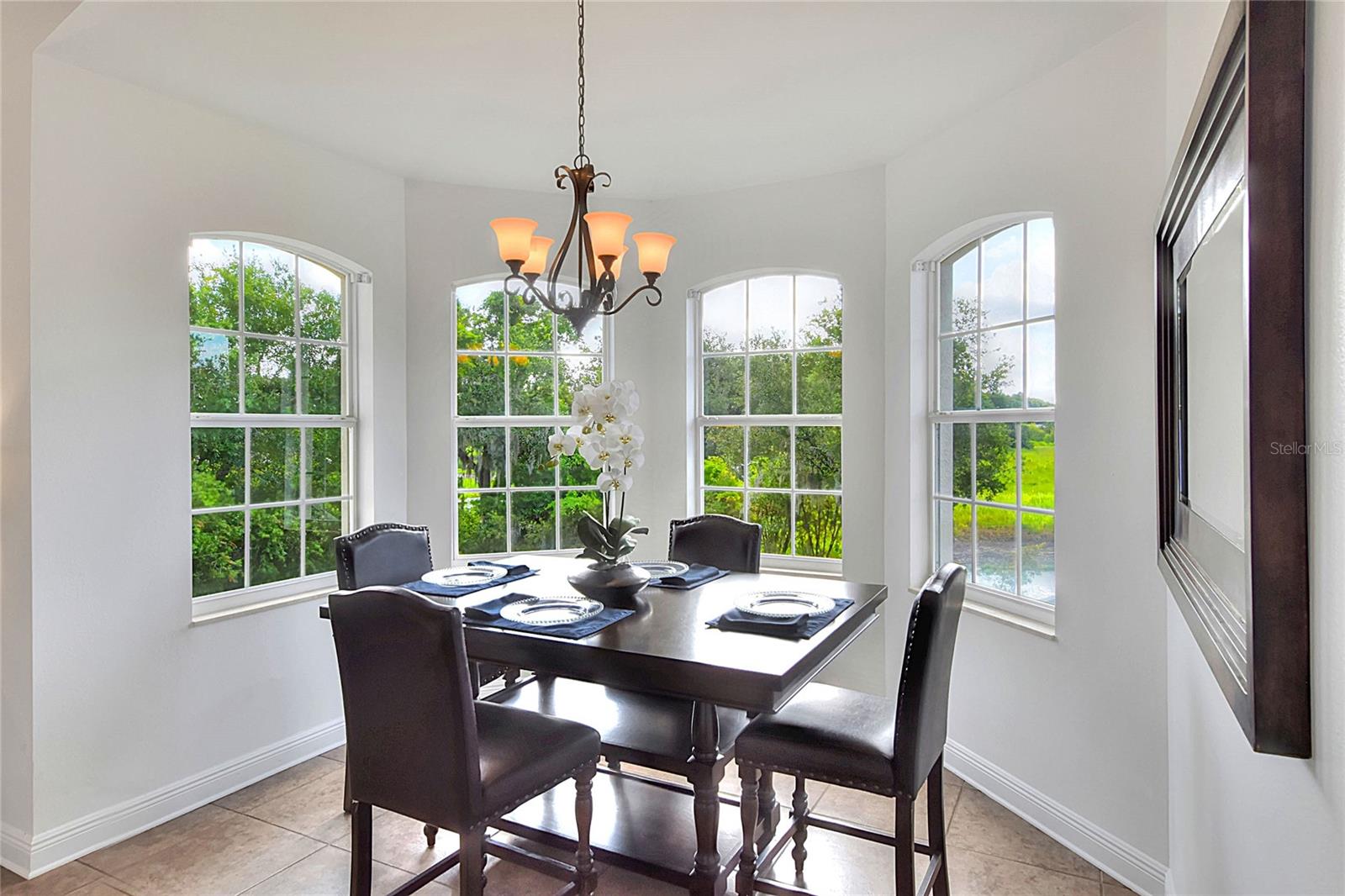 Image 3 of 63 For 632 Grasslands Village Circle