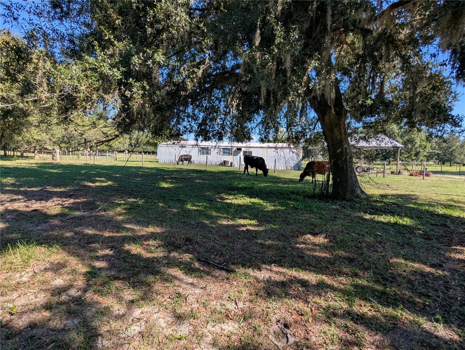 Image 15 of 25 For 5950 Cow Pen Road