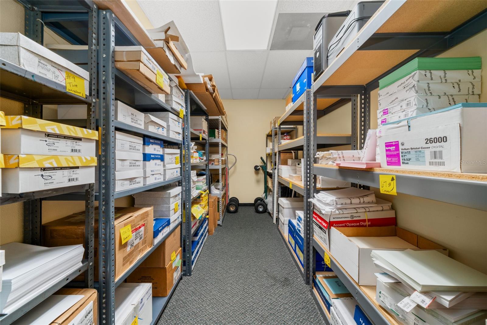 Image 38 of 50 For 33 Ryant Boulevard