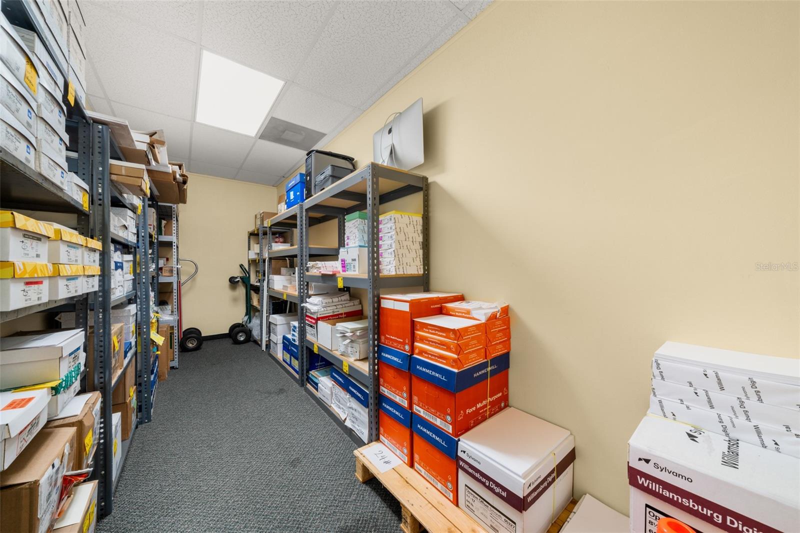 Image 39 of 50 For 33 Ryant Boulevard