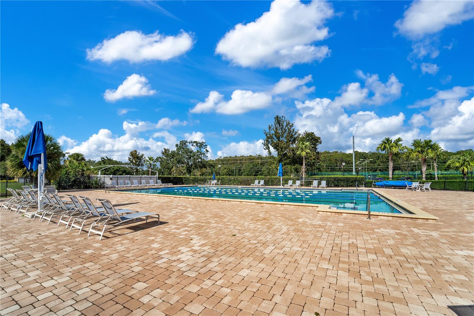 Image 50 of 68 For 5157 Sterling Manor Drive