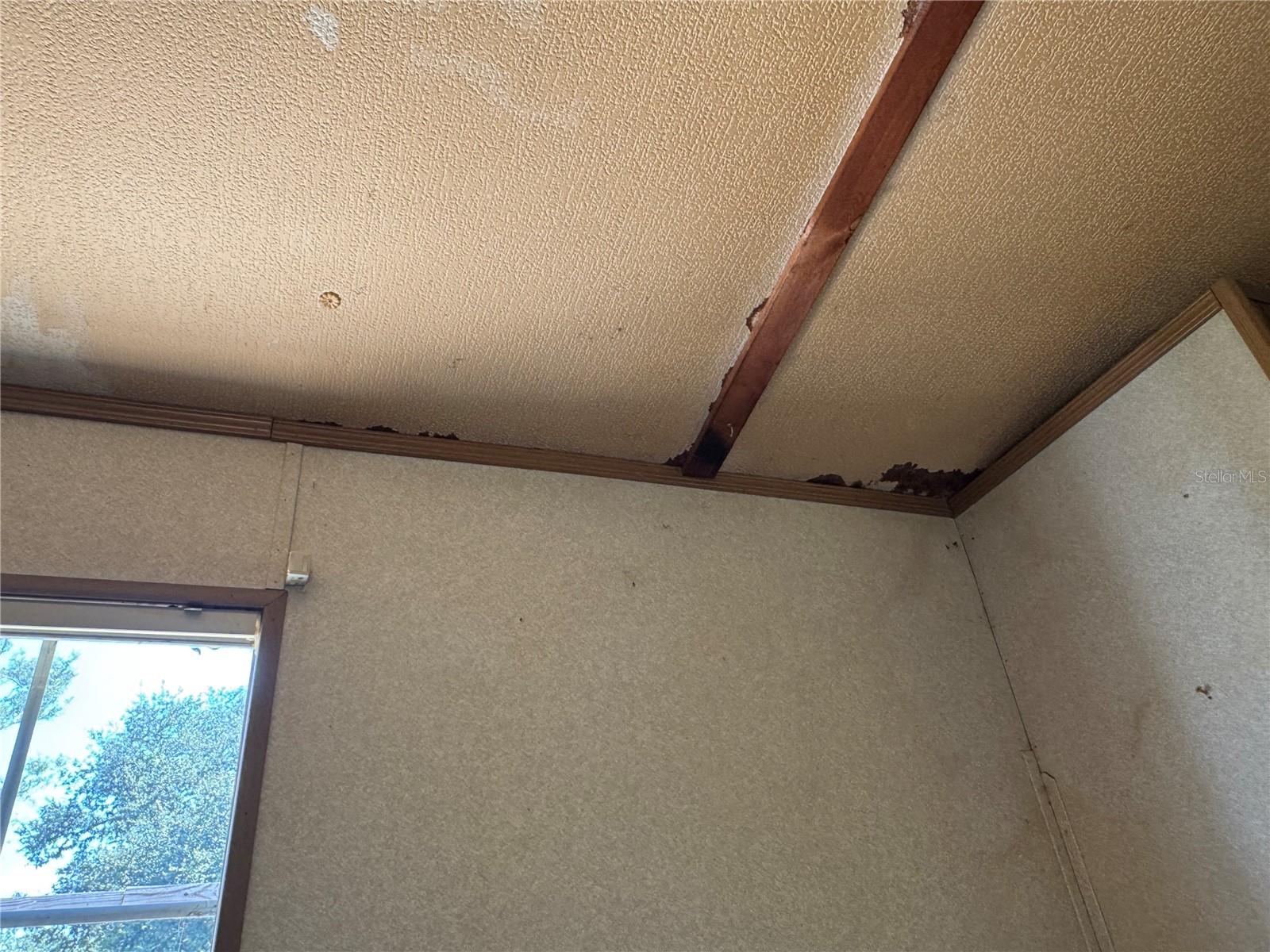 Image 50 of 79 For 6001 185th Road