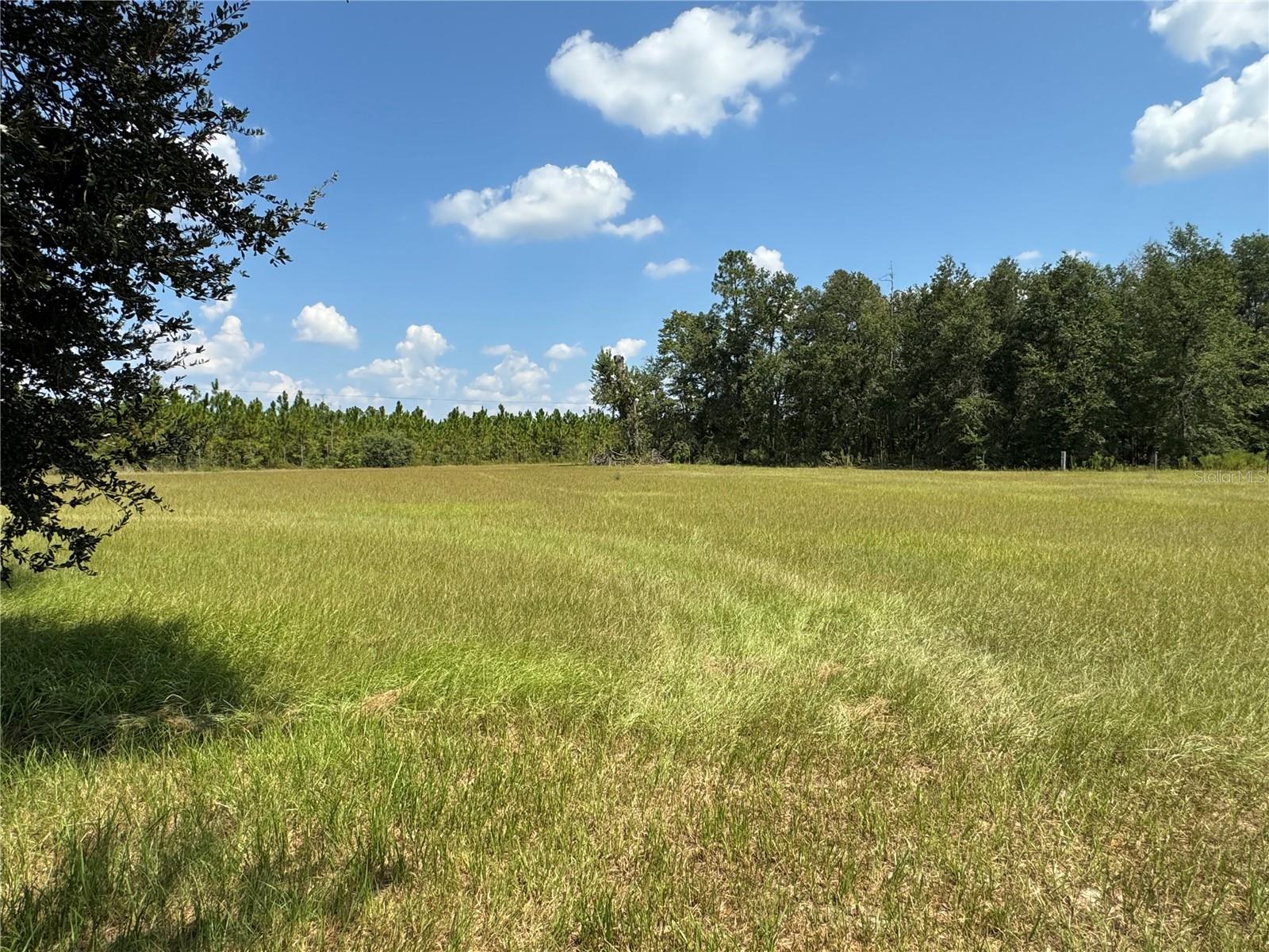 Image 77 of 79 For 6001 185th Road